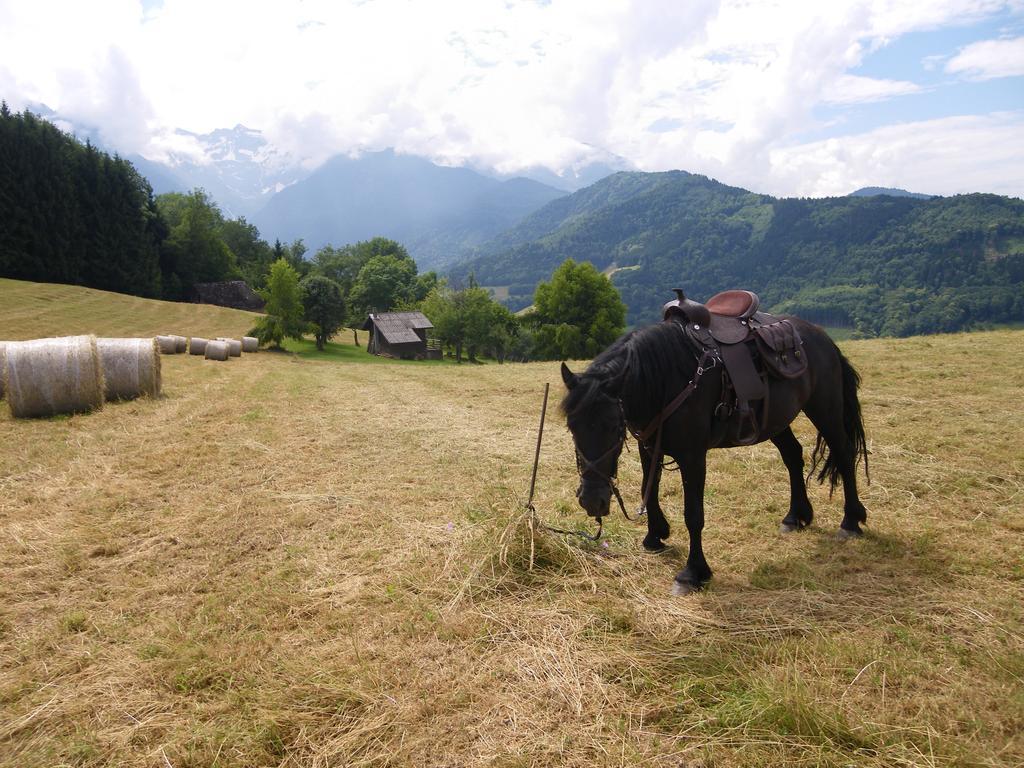 Gîte Le Cerf de Belledonne Sainte-Agnès Extérieur photo