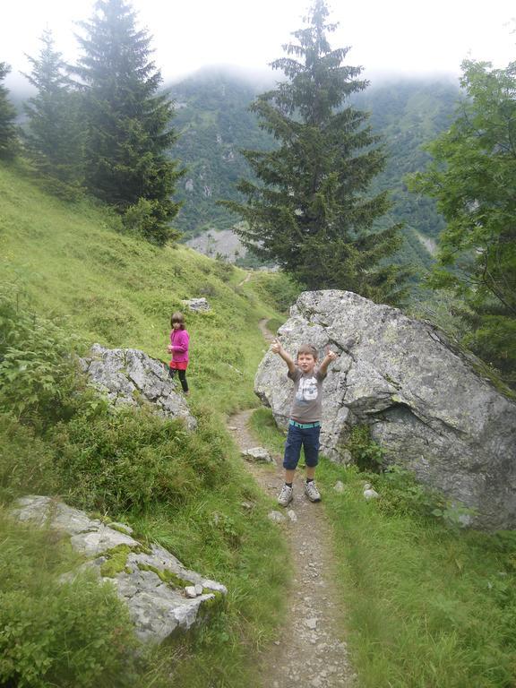 Gîte Le Cerf de Belledonne Sainte-Agnès Extérieur photo