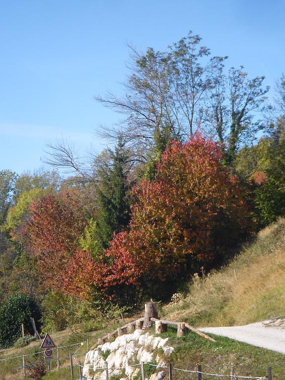 Gîte Le Cerf de Belledonne Sainte-Agnès Extérieur photo