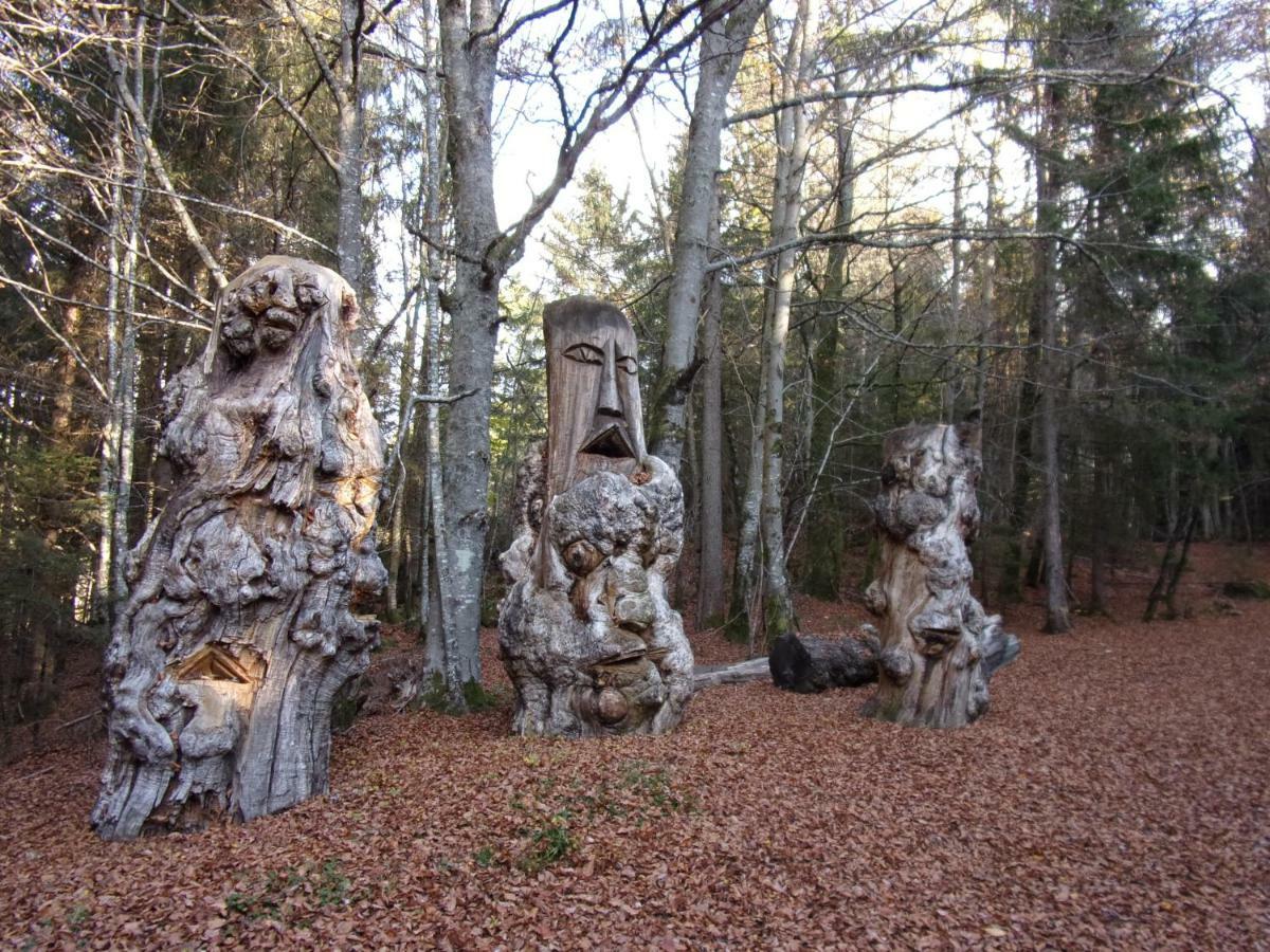 Gîte Le Cerf de Belledonne Sainte-Agnès Extérieur photo