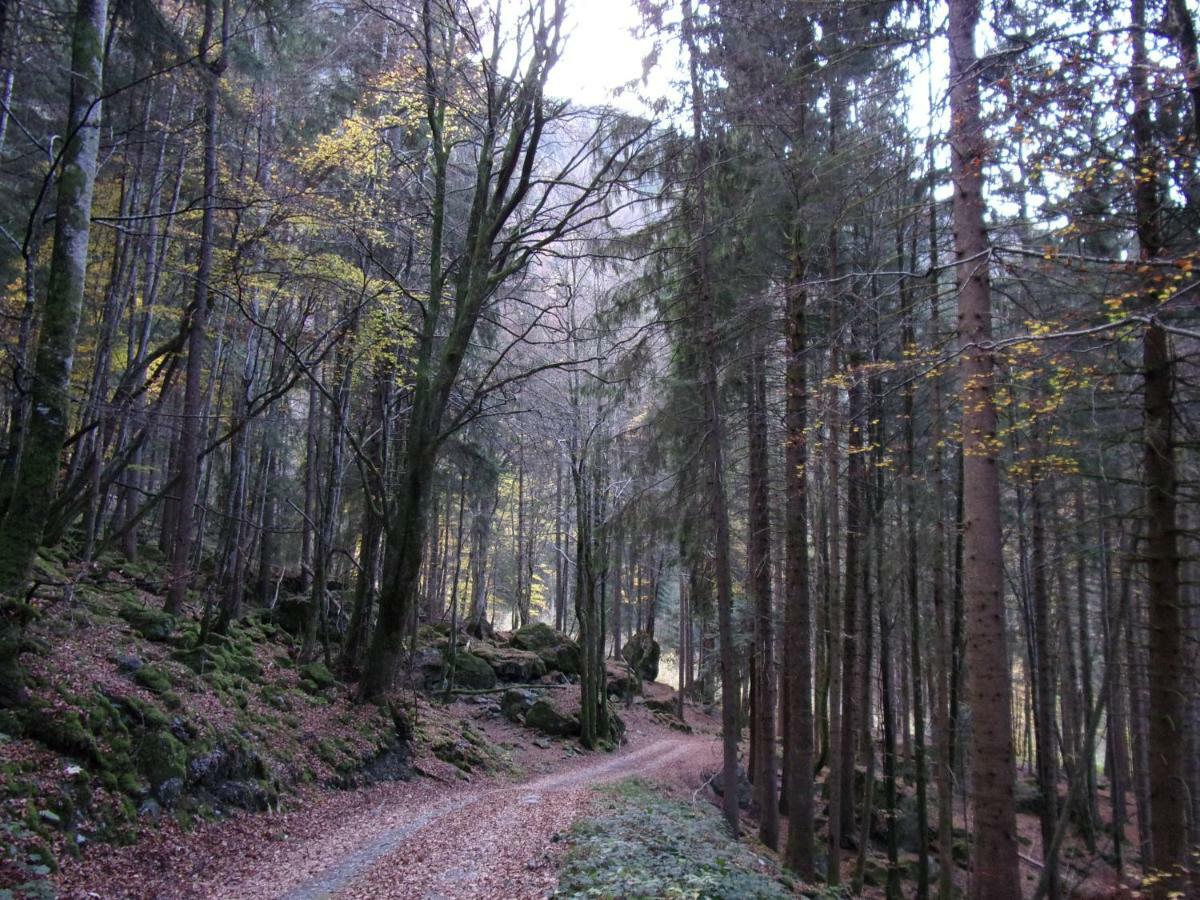 Gîte Le Cerf de Belledonne Sainte-Agnès Extérieur photo